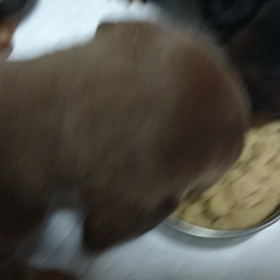 うまうまの画像