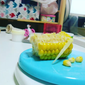 モロコシデビューの画像