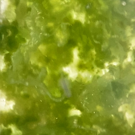 成体減少 (涙)の画像