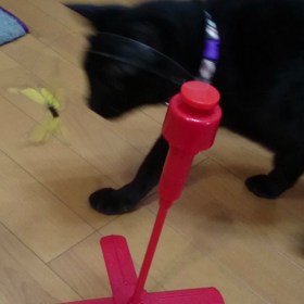 259.まぁまぁまぁ。の画像