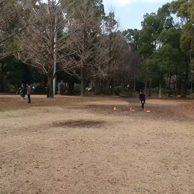 リレーバトン練習 女子③の画像