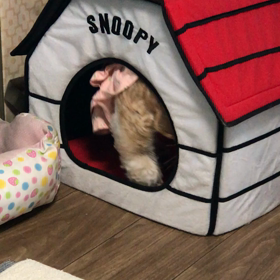 ガシガシガシガシの画像