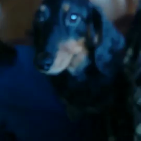 るぃちゃん通信♡苦笑い編の画像