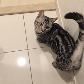 とらぢ@34の画像