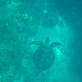 アカティーダバンタへ。の画像