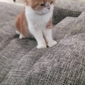 *やっぱり水怖い*の画像