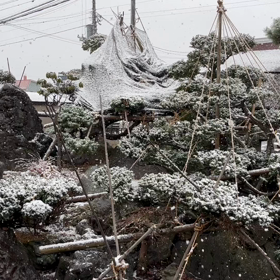 父のこと⑩の画像