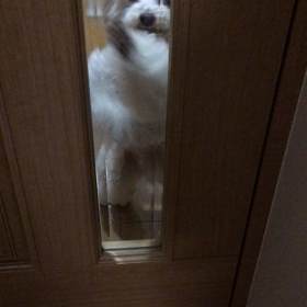 動くミルキー君の画像