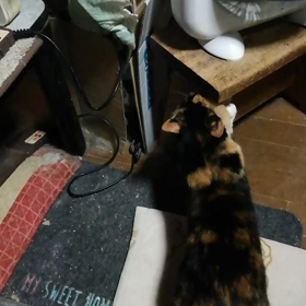 みんなが やるから！の画像