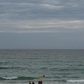 昨日の朝の画像