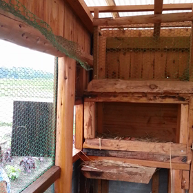 いのち。の画像