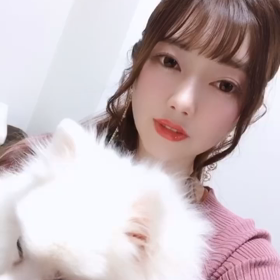 可愛いの更新の画像