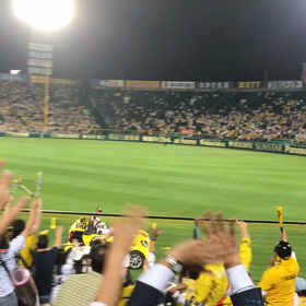 甲子園行って来ました！！の画像