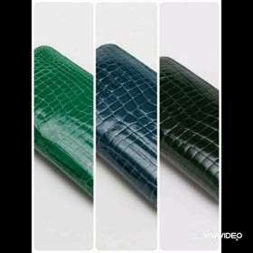 ワニワニ日記の画像