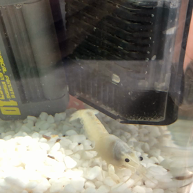 一生懸命なにしてるの？の画像