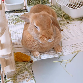 あくまでも動画ですの画像