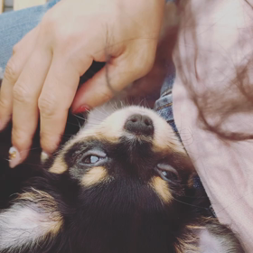 眠い眠いの画像