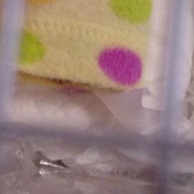 ＃警戒心ゼロ、、、＃の画像