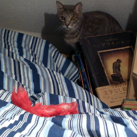 レッドブル状態の画像