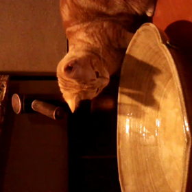 何度見ても、可愛すぎるの画像