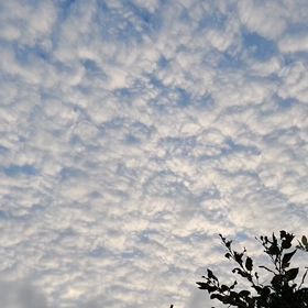 すっかり♪の画像