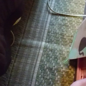 子猫sisterｽﾞのルーティング？の画像