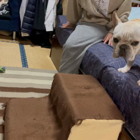 スロープはこう使うんですの画像