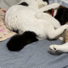 微妙な力加減？の画像