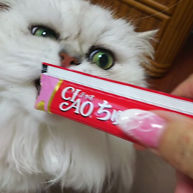 チュールの画像