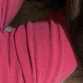 冷ややかな眼差しの画像