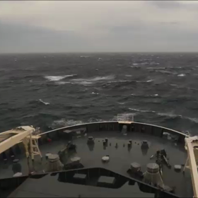 蔵出し！水中映像ｰ2の画像