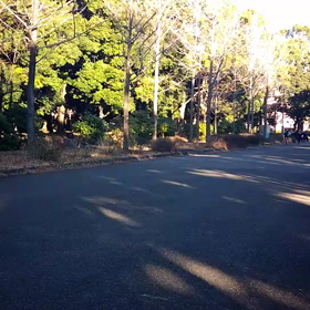 越谷春季記録会リレー選考会(男子)⑩の画像