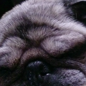 鼻水、垂れてますよ！の画像