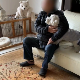 喜寿のお祝いの画像