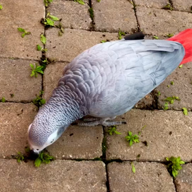 曇りの日はメンテナンスの画像