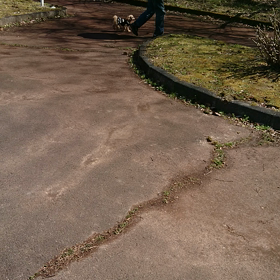孫ちゃんとココちゃんと公園の画像