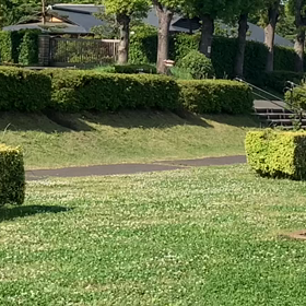 往復ダッシュ⑪の画像