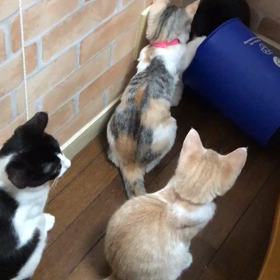 無限の遊びwの画像