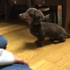 生後114日目の画像