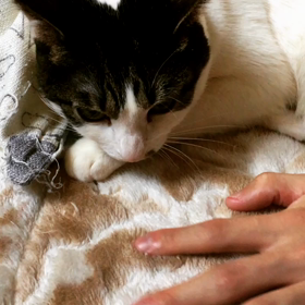 されるがままじゃないもん。の画像