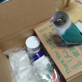 固い段ボールが良いよ( ´∀`)の画像