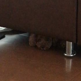 仄暗い場所から？の画像