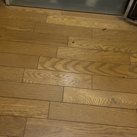 蔵馬？ひろ2の画像