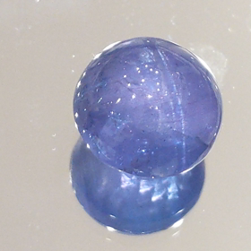 タンザナイトキャッツ見〜付けた!の画像