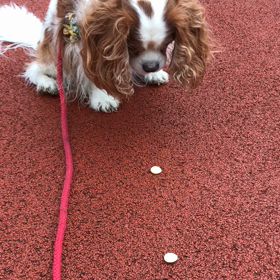 無限ループの画像