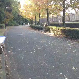 10月29日 1000mゴール①の画像