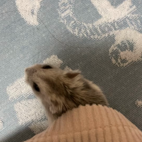 「遊ぼ〜♪」の画像