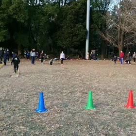 ダッシュ(黄色チーム)③の画像