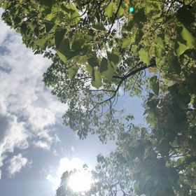 幸せな朝の風景の画像