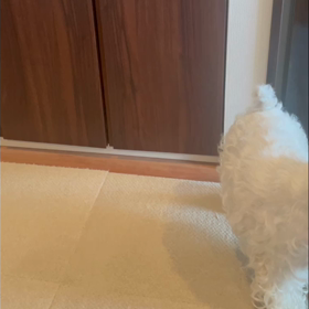 鋭意特訓中❗️の画像